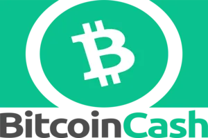 Bitcoin Cash カジノ